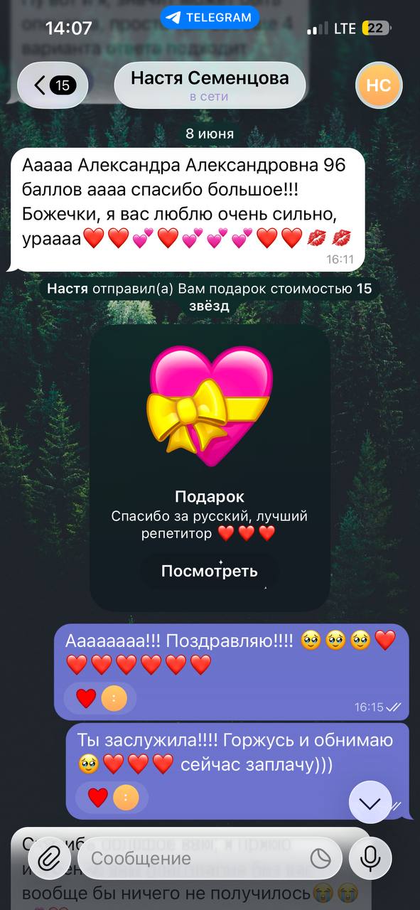 Отзыв ученика с результатом 96 баллов
