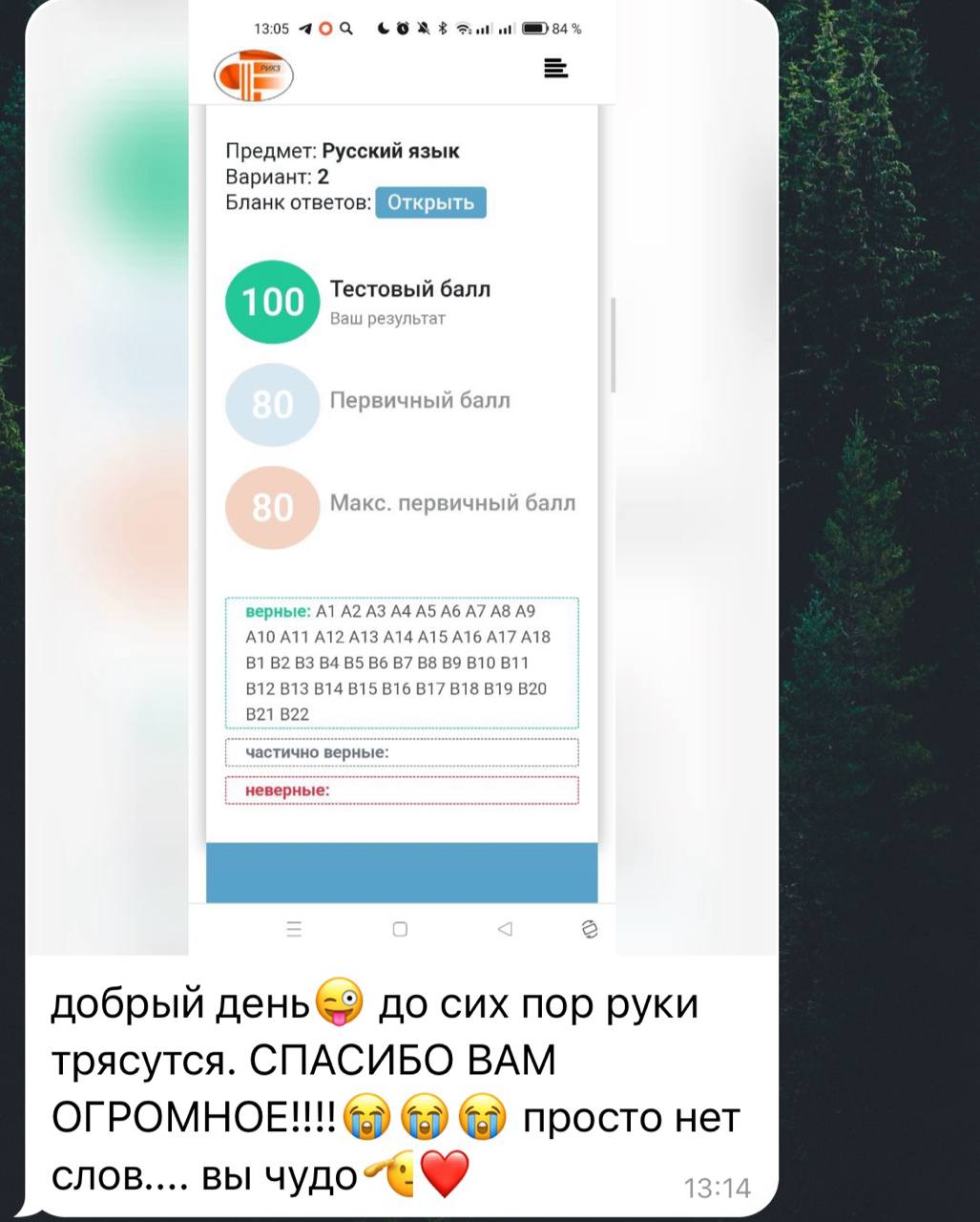 Отзыв ученика с результатом 100 баллов