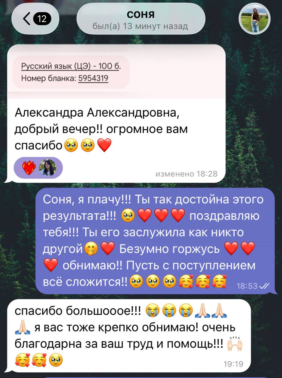 Отзыв ученика с результатом 100 баллов